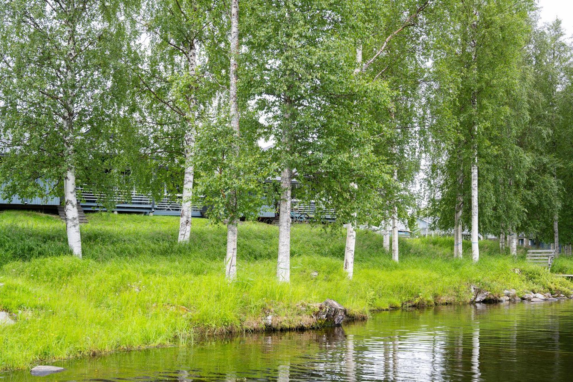 Talvijaerven Helmi Villa Kuusamo Exterior photo